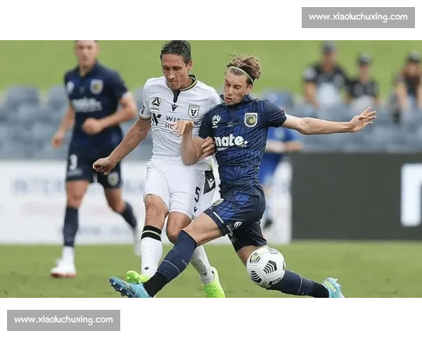 澳超联赛最新战况：激烈对决揭示冠军争夺关键节点